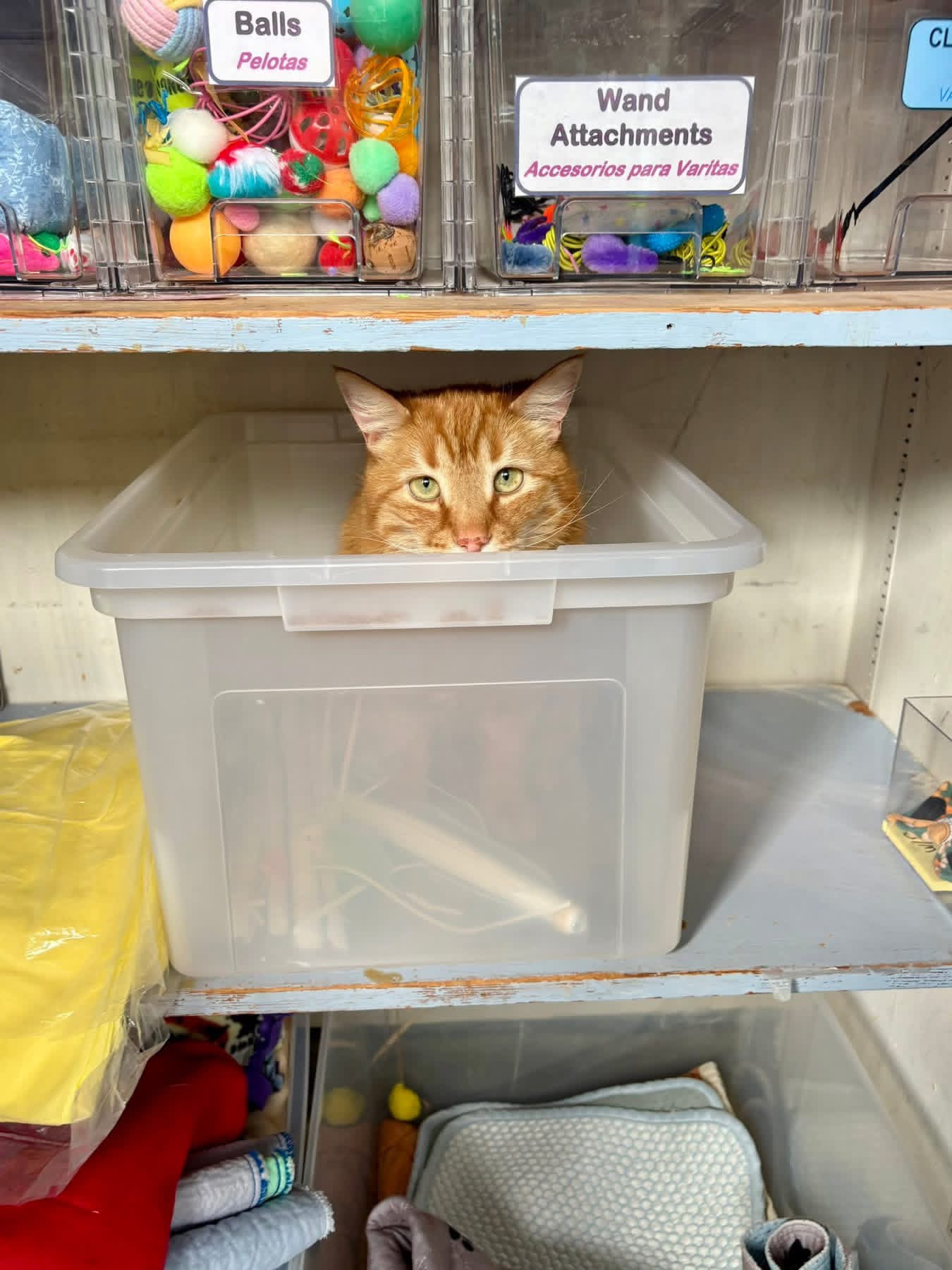Winter Box
