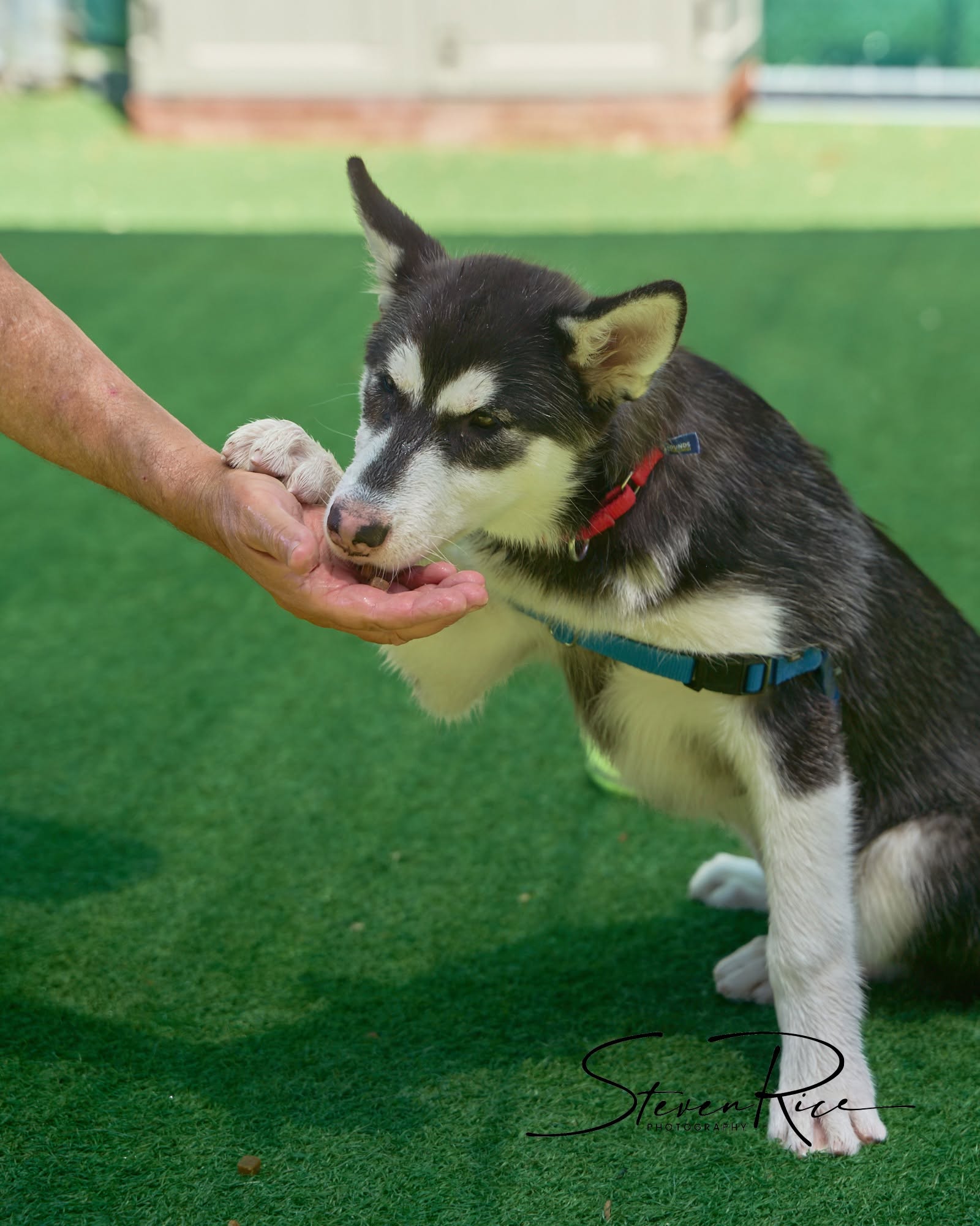 774281947_10236305262426092_1987967093010815771_n