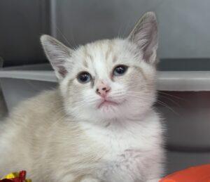 IMG 2886
