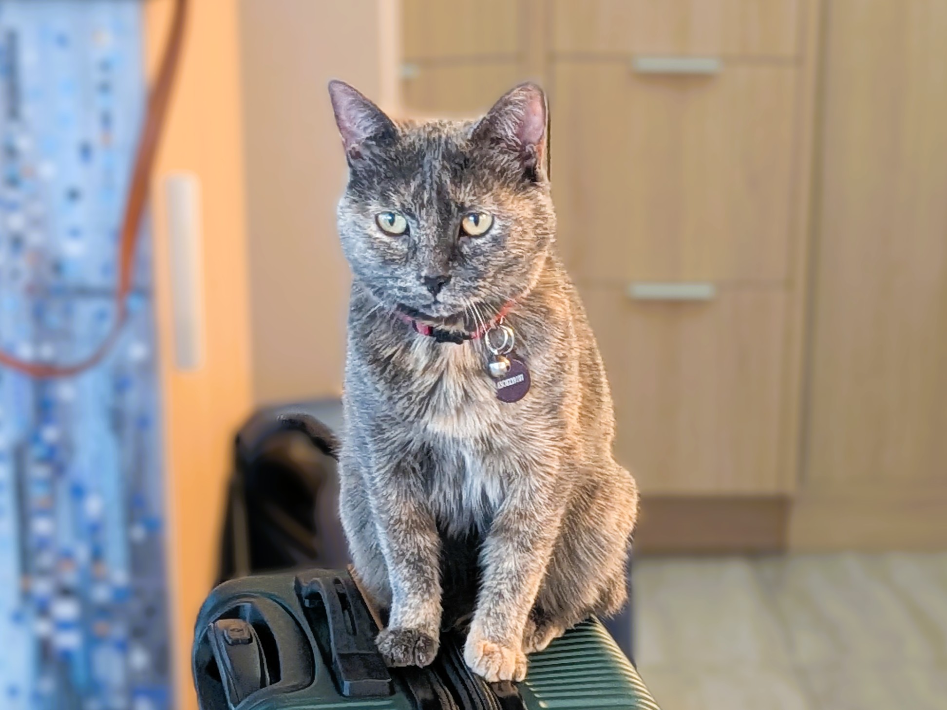tika1